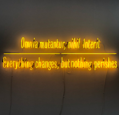 chi-va-piano-arriva-dopo:Joseph Kosuth ,“Maxima Proposito”...