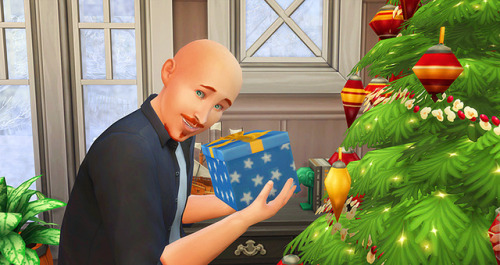 Winterfest ♥Florian got a carrot in his gift under the tree...