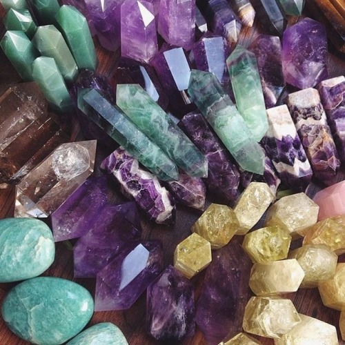 underthebogart:Green + Purple + Succulent + Crystal + Witchy...