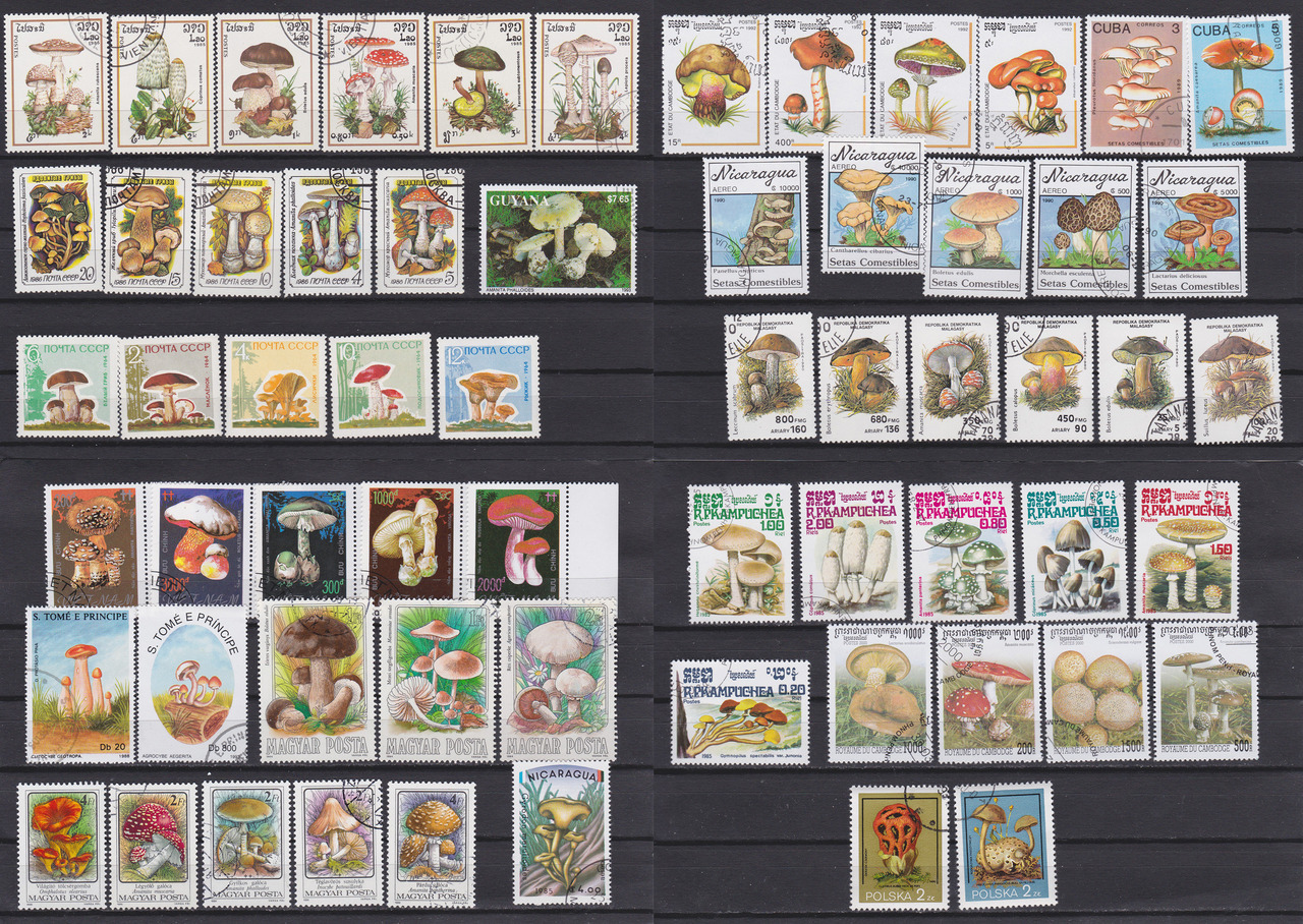 Mushroom stamp collection (62 postage stamps)