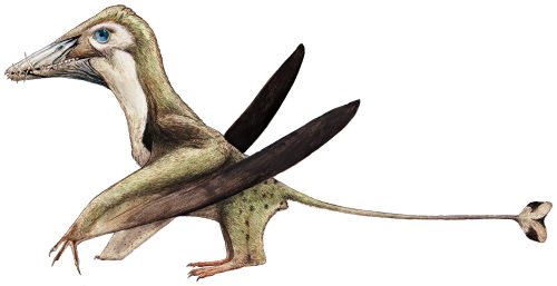 A Dinosaur A Day · Dorygnathus banthensis