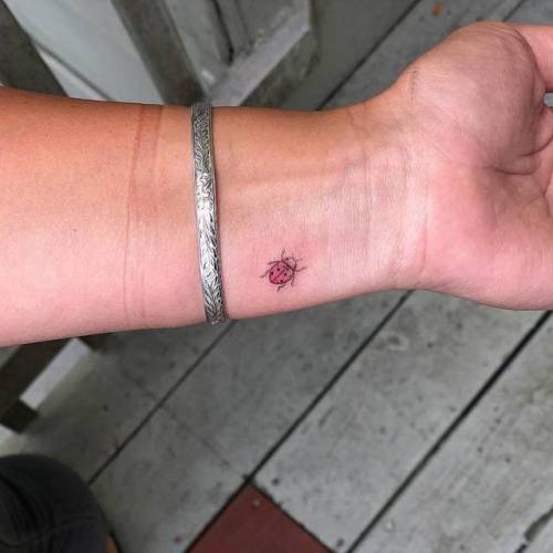 By Joey Hill, done in Los Angeles. http://ttoo.co/p/35851 insect;small;micro;animal;tiny;joeyhill;ifttt;little;wrist;ladybug;minimalist;illustrative
