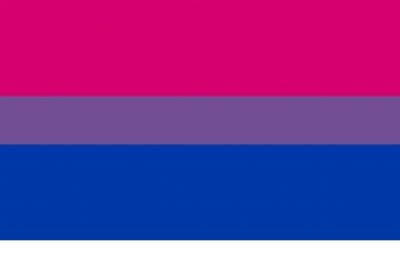 original gay flag color hex