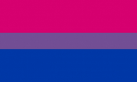 gay flag colors hex