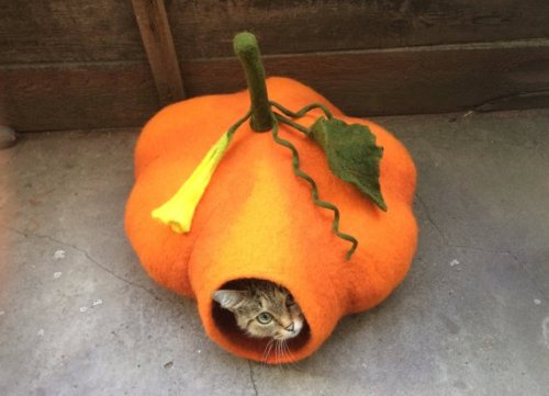 cat cave cat bed pet bed AhClementina pet cave pet care pumpkin