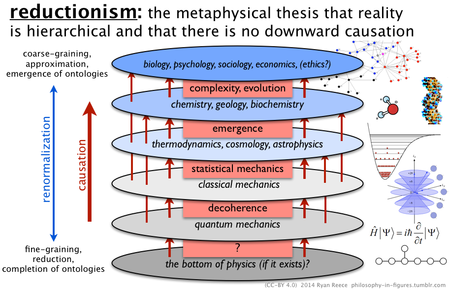 Theories Of Reductionism