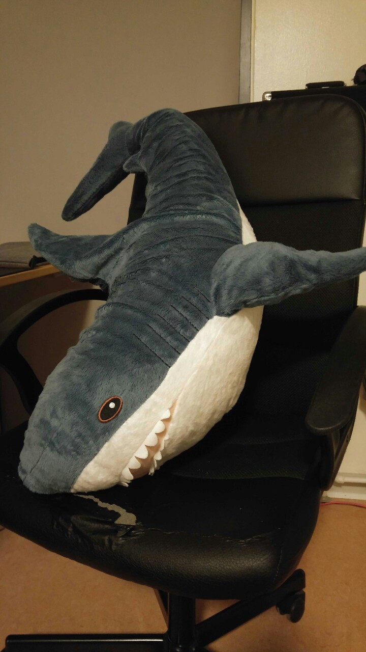 whatever shark plush