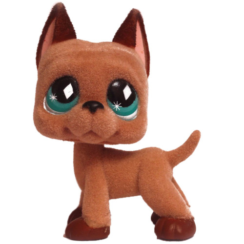 daily-lps