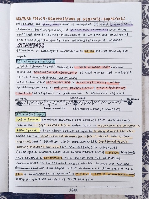 studyengz:29.05.17 • day 1/30here’s the first page of my...