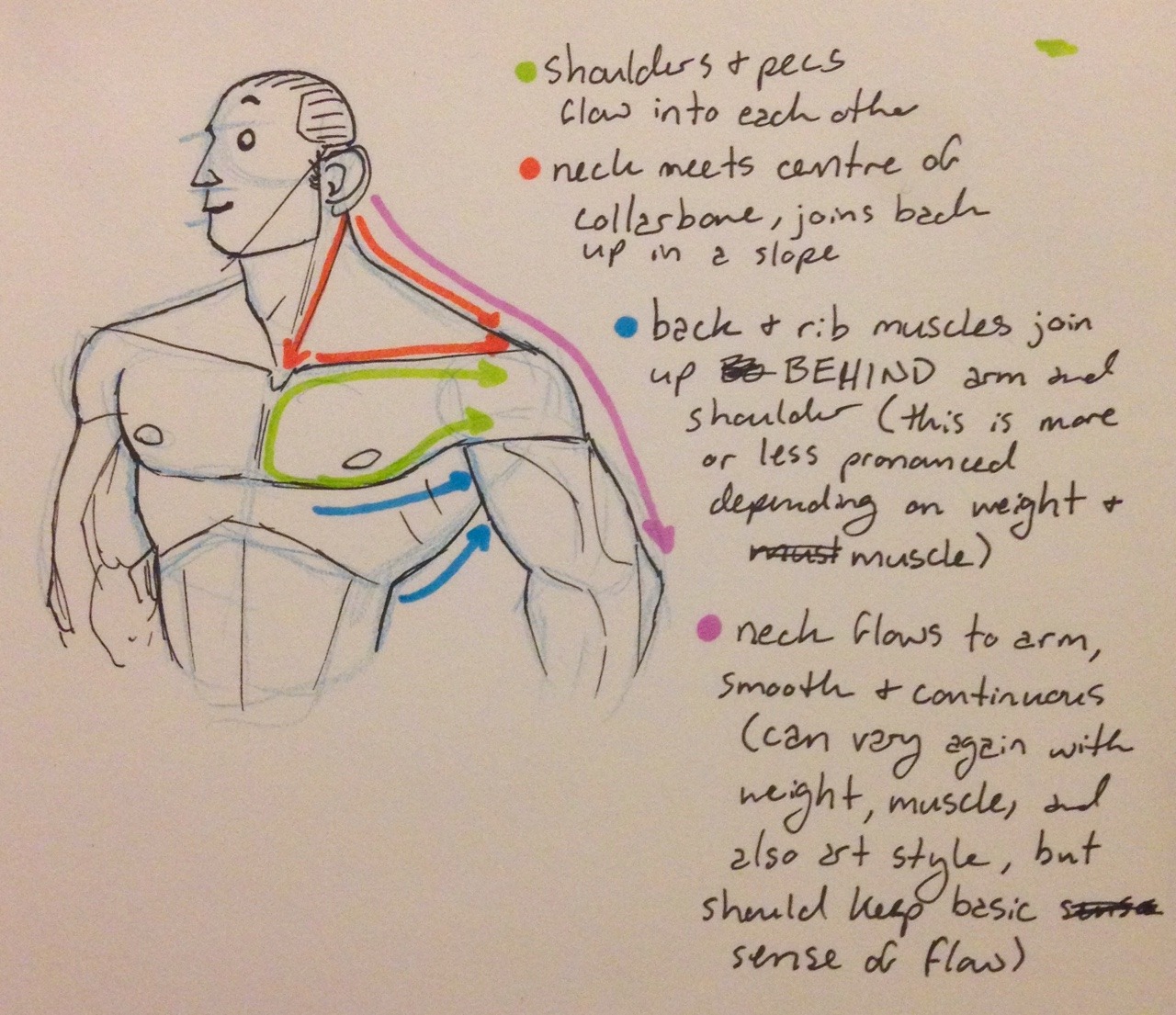 I sketched out some tips on drawing shoulders for... - Get Funky