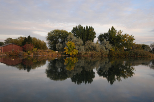 Fall is by far my favorite season to break out the big camera. 