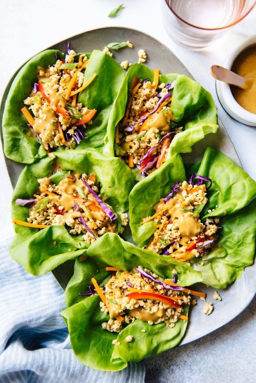 fattributes:Tempeh Lettuce Wraps with Peanut Sauce