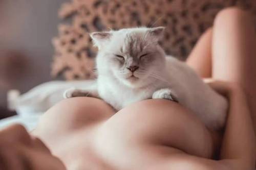 yellowsweethoney:sgleak:Model with her catMeow meow...