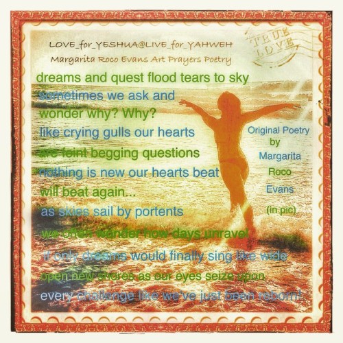 #MargaritaRocoEvans #Poet @breadofluv @LIVE_for_YAHWEH #12thMan #Love #Seattle #Seahawks #GoHawks #SuperBowl #SB49 #NEvsSEA #Original…