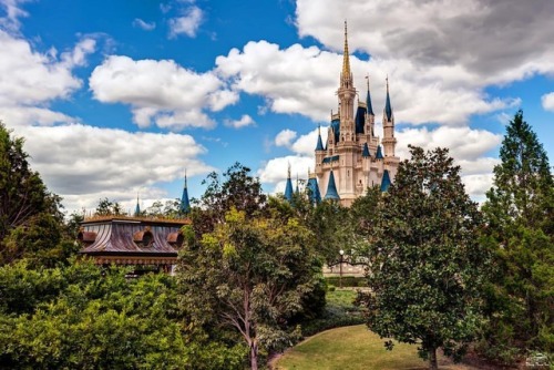 disneyphototour:Can you think of any better of a view then...