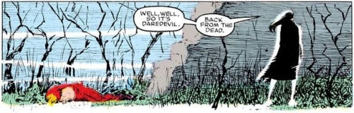 panels-of-interest:Daredevil vs. Typhoid Mary.[from Daredevil...