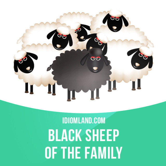 Idiom Land — “Black sheep (of the family)” is someone who