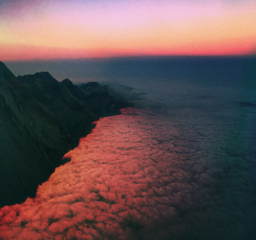 samanthamuljat:Softer Mornings II.