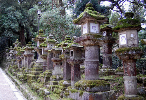 shallzoucom:Stone lanterns at Kasuga Grand Shrine in Nara,...