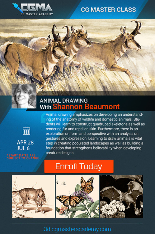 HOI everyone!  I’ll be instructing the Animal Drawing course on...