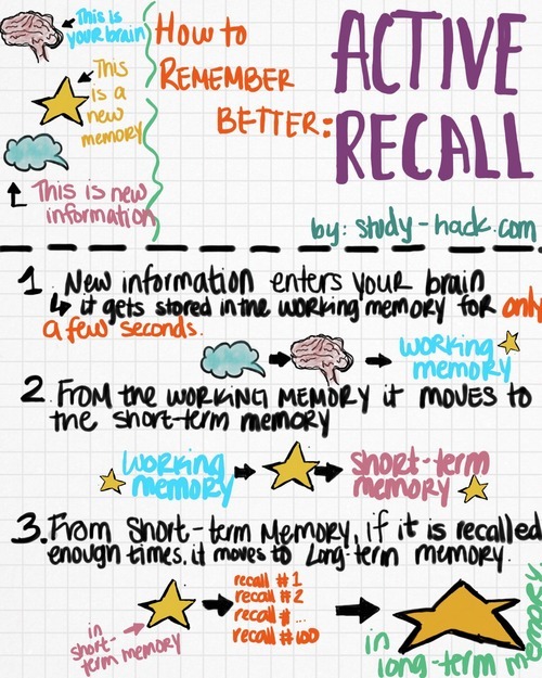 determined-to-succeed-how-to-remember-better-active-recall