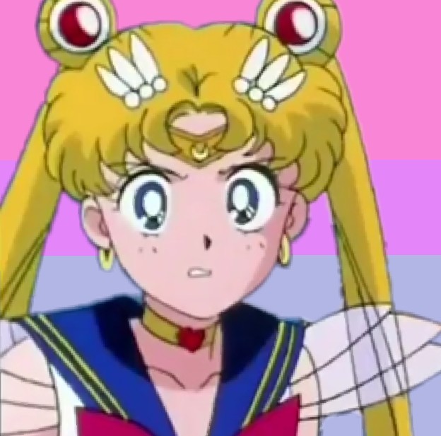 Magical Girl Bi Usagi Tsukino Icons Flag By I Am