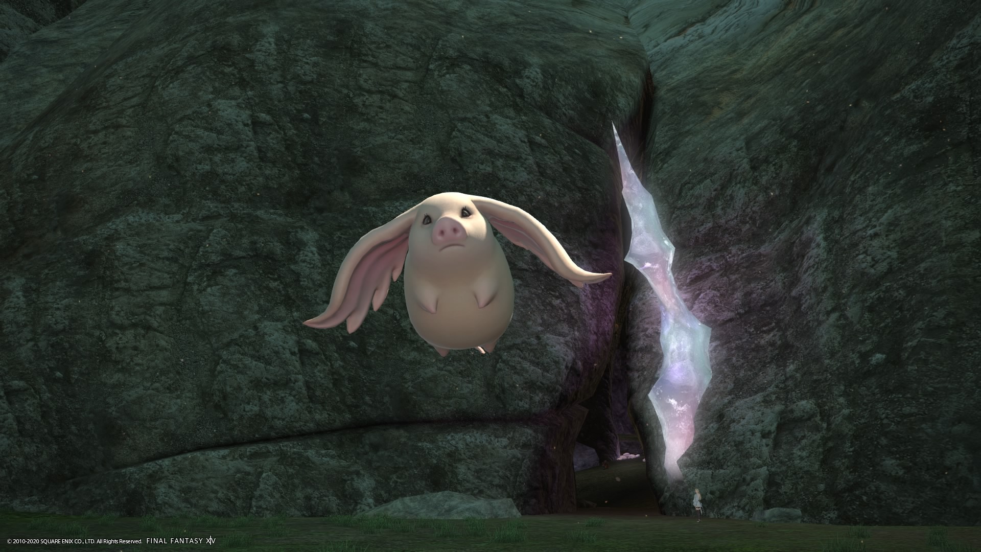 Hinata Hina Blog Entry イル メグの気になるモンスター ３ Final Fantasy Xiv The Lodestone