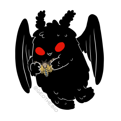 geothebio:lil’ mothman found a friend