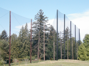 Golf netting installation
