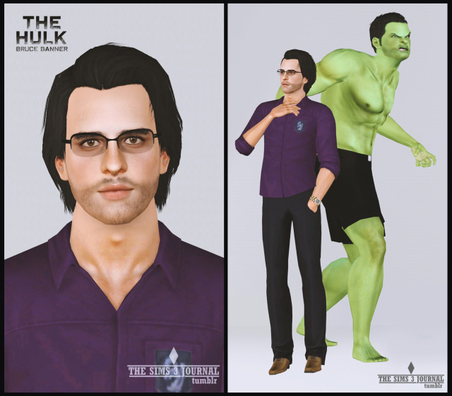 the sims 3 tumblr banners