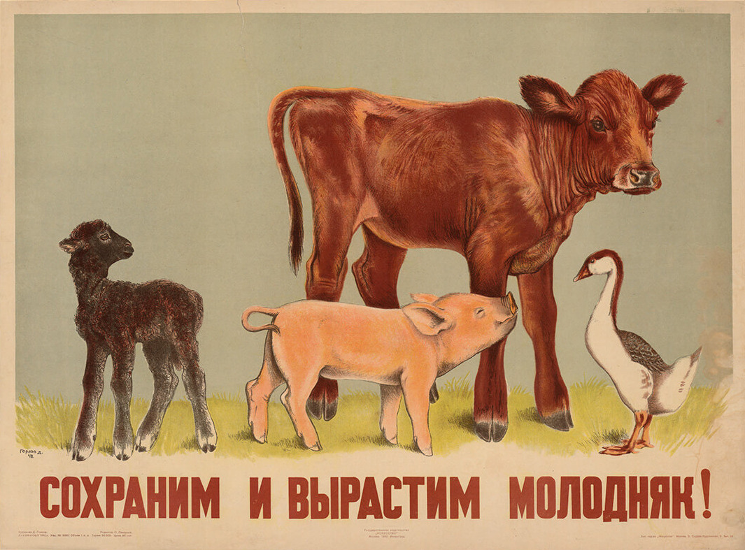 “Let’s keep and grow the young stock!” Soviet poster designed by D. Gorlov (1942)