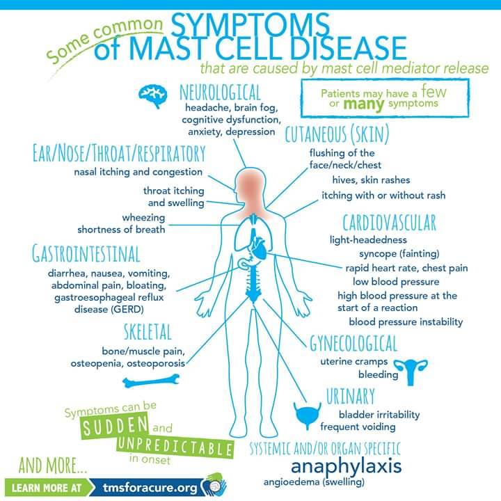 Mastocytosis On Tumblr