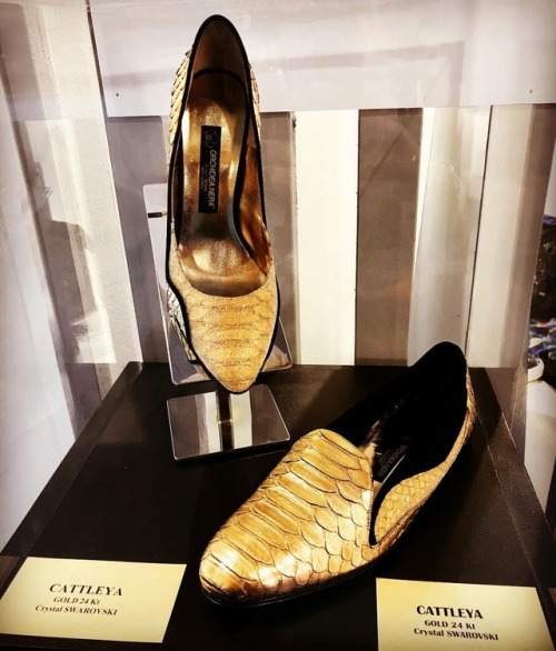 @orchideaneradeluxebrand @micam.milano Gold Shoes Cattleya 24...