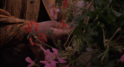 lost-in-periodrama:Enchanted April, 1991, dir Mike Newell 