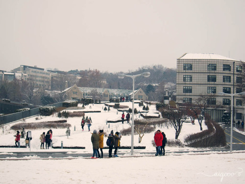 Ewha University Tumblr