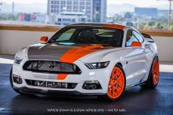 @Mustang Fanatic