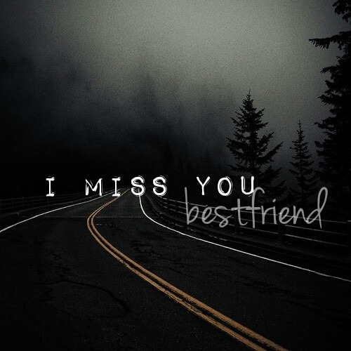 lost friend on Tumblr