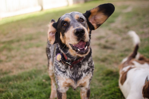 sidetongue:you’re really somethin, kid. 