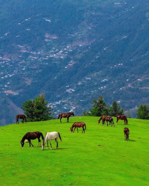 hd-pakistan:Ganga Choti, Bagh, Azad Kashmir. Imtiaz Khan