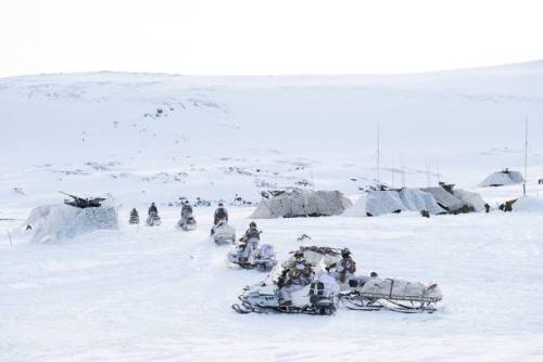 militaryarmament:Norwegian Army soldiers learning crucial arctic...