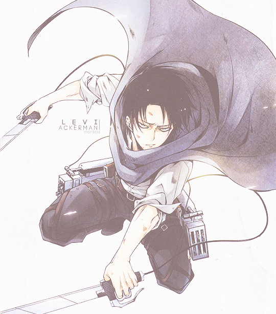 Levi Heichou Love — midforde: url meme: levhin