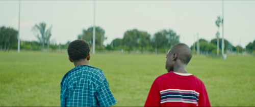 glasscreature:moonlight, dir. barry jenkins // predatory wasp...