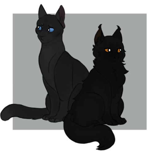 crowpaw on Tumblr