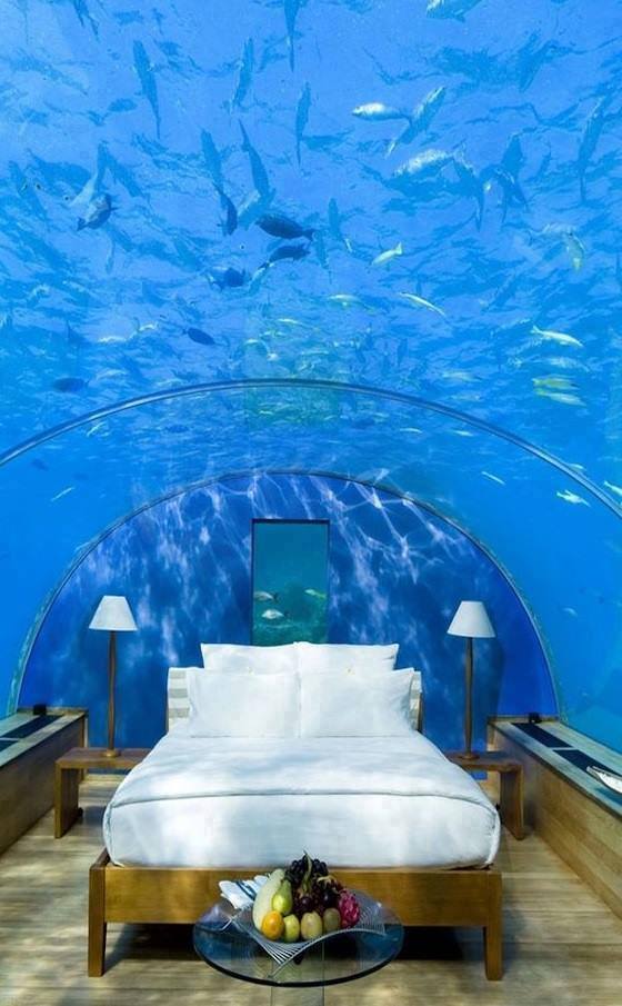 Stylish Homes - Underwater hotel room, the Maldives!! via reddit