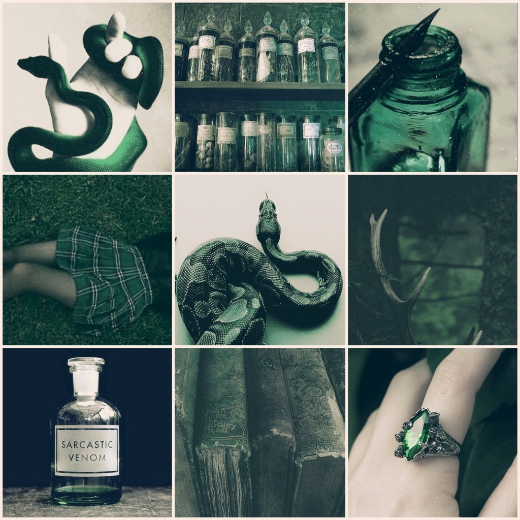 to be or not to be [a dork] — Female || MC || Slytherin moodboard