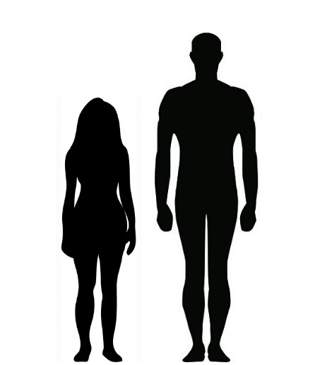 height comparison on Tumblr