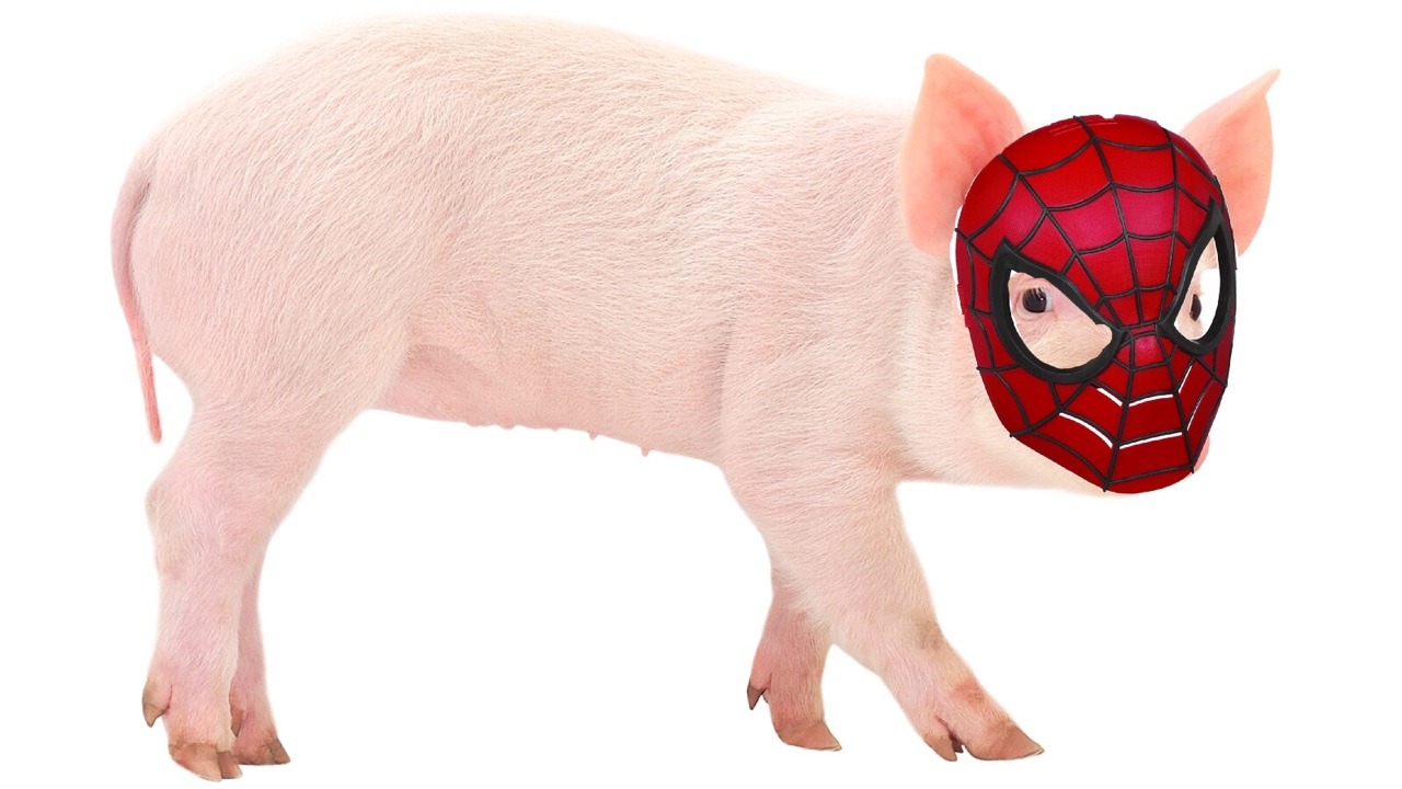 Spider Ham Spider Ham Says Remember To Drink Enough Water