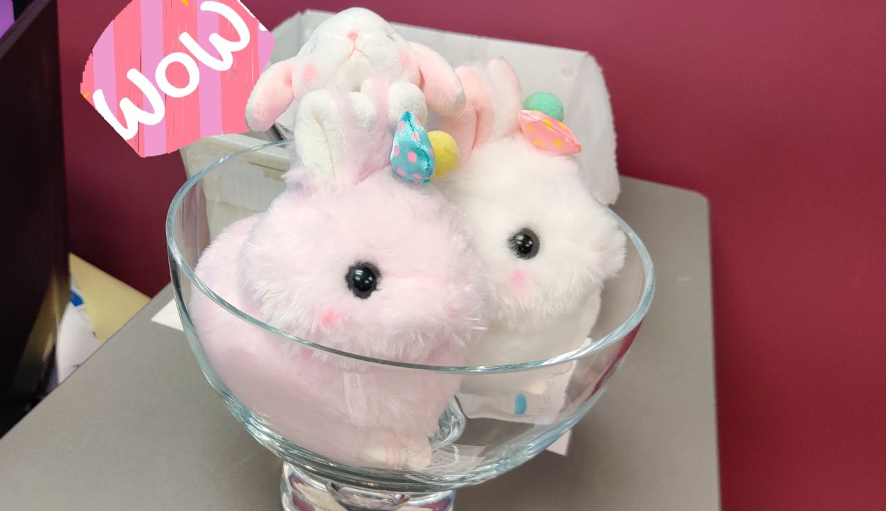 toreba bunny plush