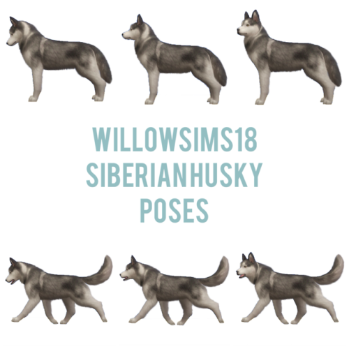 willowsims18