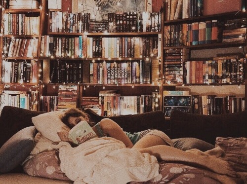 fall fall blog fall aesthetic autumn autumnal autumn aesthetic october books pumpkin halloween